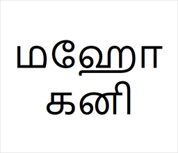 [மஹோகனி] Mahagony sapling