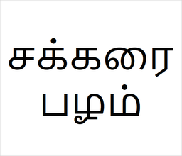 [சக்கரைபழம்] Sarakarai pazham sapling