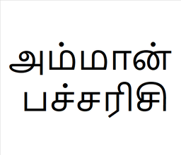 [அம்மான் பச்சரிசி] Amman pacharisi sapling