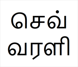 [செவ்வரளி] Sevarali sapling