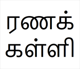 [ரணக்கள்ளி] Ranakalli sapling