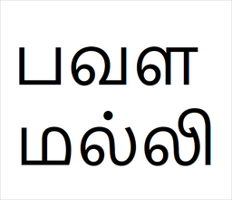 [பவள மல்லி] Pavala malli sapling